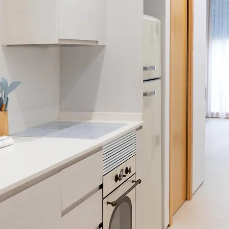 Don Algodon Grau Daire Gandía