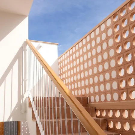 Don Algodon Grau Daire *