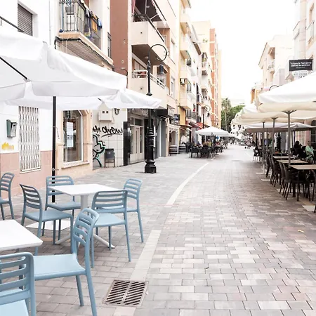 Don Algodon Grau Daire *