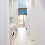 Don Algodon Grau Apartment Gandía