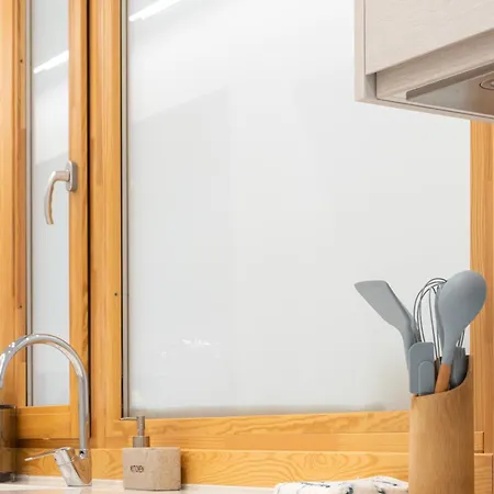 Don Algodon Grau * Gandía